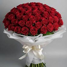 Букет 101 Красная роза Блэк Мэджик #REPLACE_PRED# Дылыме