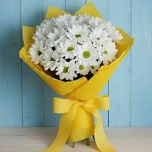 Букет цветов из:  Хризантемы в Дылыме