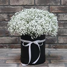 Цветочная композиция из Гипсофила в шляпной коробке в Дылыме