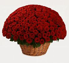 Премиум букет из: Розы в Дылыме