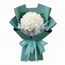 Букет цветов из:  Гортензия в Дылыме